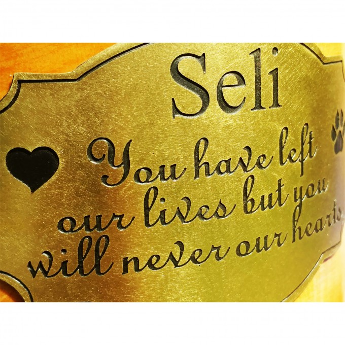 Personalized Pet Urn for Dog