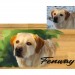 Pet portrait urn for dog cremation